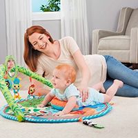Little Tikes Sway & Play Gym