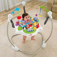 Fisher­ Price Discover 'n Grow Jumperoo
