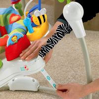 Fisher­ Price Discover 'n Grow Jumperoo