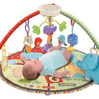 Fisher Price Luv U Zoo Deluxe Musical Mobile Gym