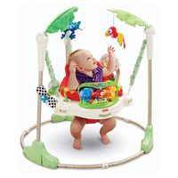 Fisher Price Jumperoo Rain Forest